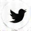 X (Twitter) icon